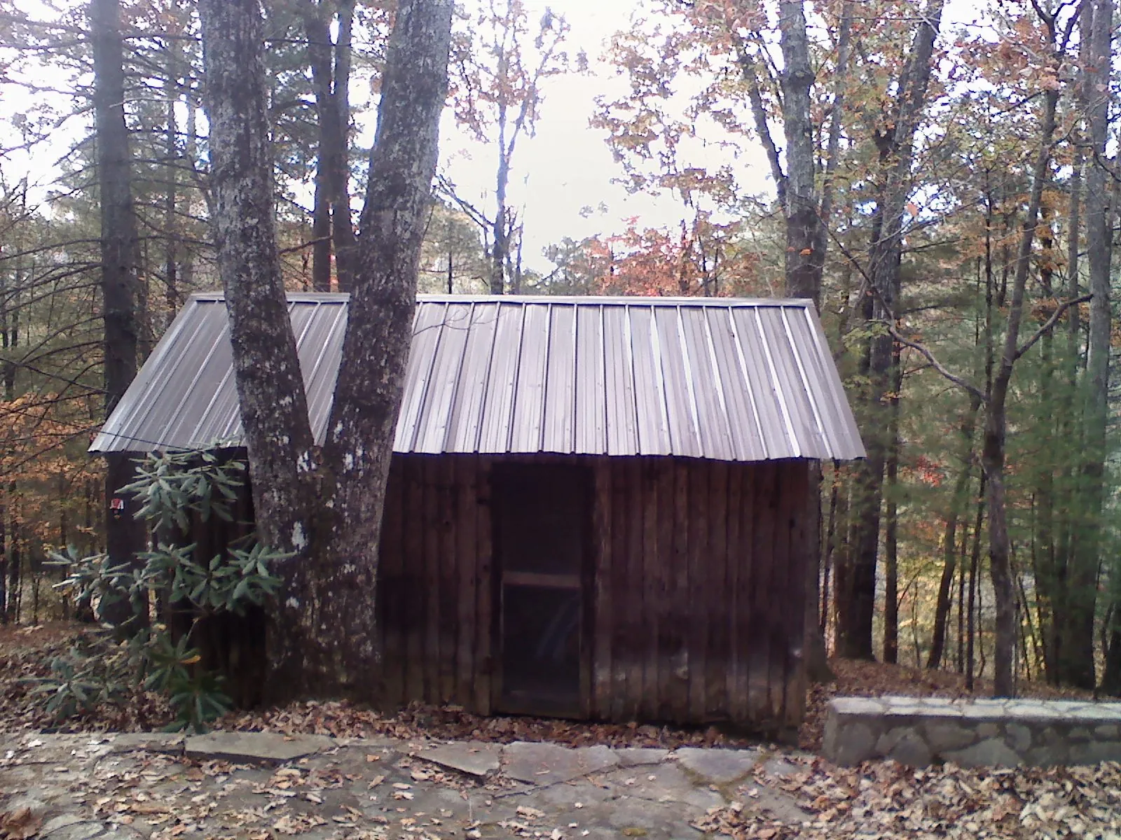 New metal gable roof on a small log shed among the trees in Hardy