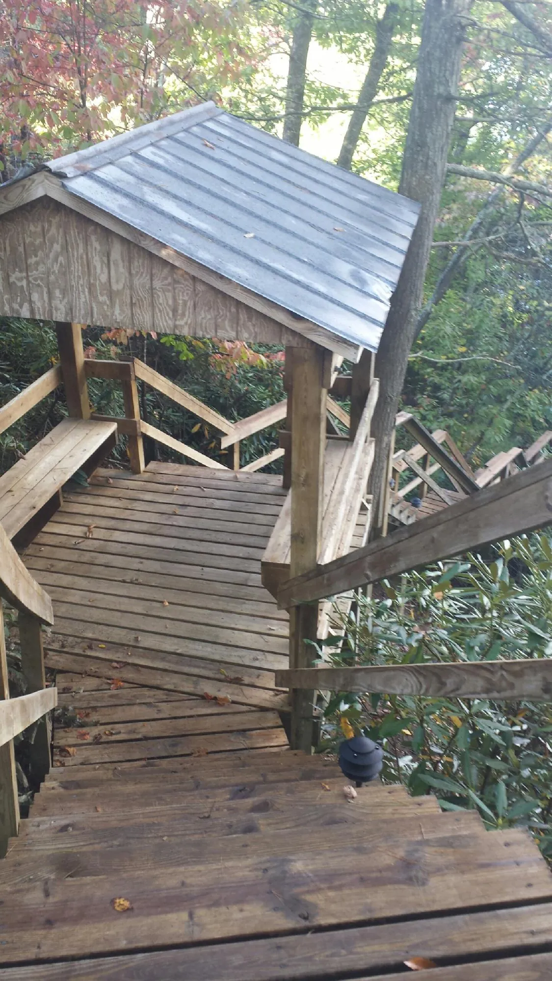 Metal roofed shelter over wooden steps on a wooded walkway — Skylight Repair & Installation work by our crew in Hardy